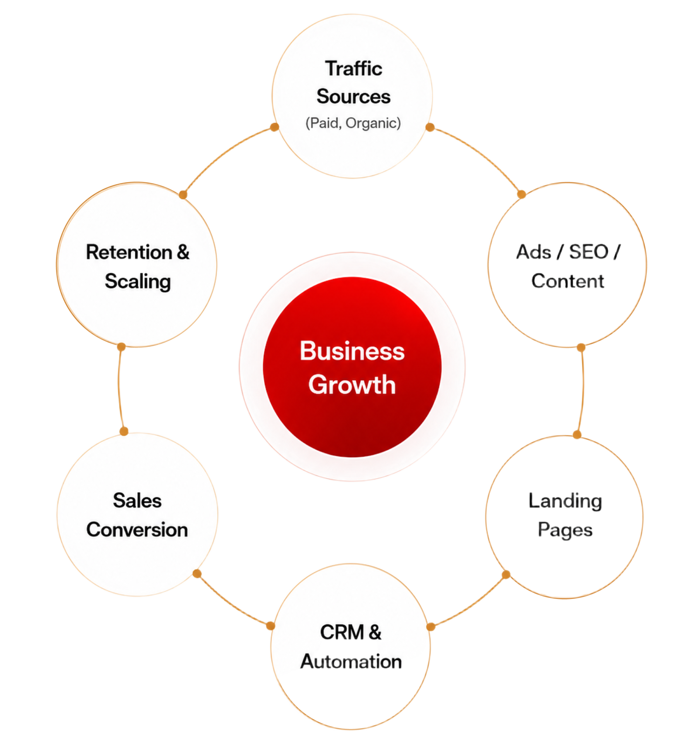 Business Growth Ecosystem